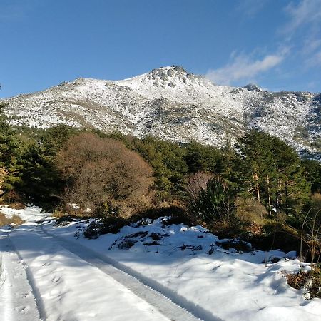 Complejo Turistico Las Canadas Casas De Campo- Actividades Gratuitas Todos Los Fines De Semana Banos De Montemayor Eksteriør bilde