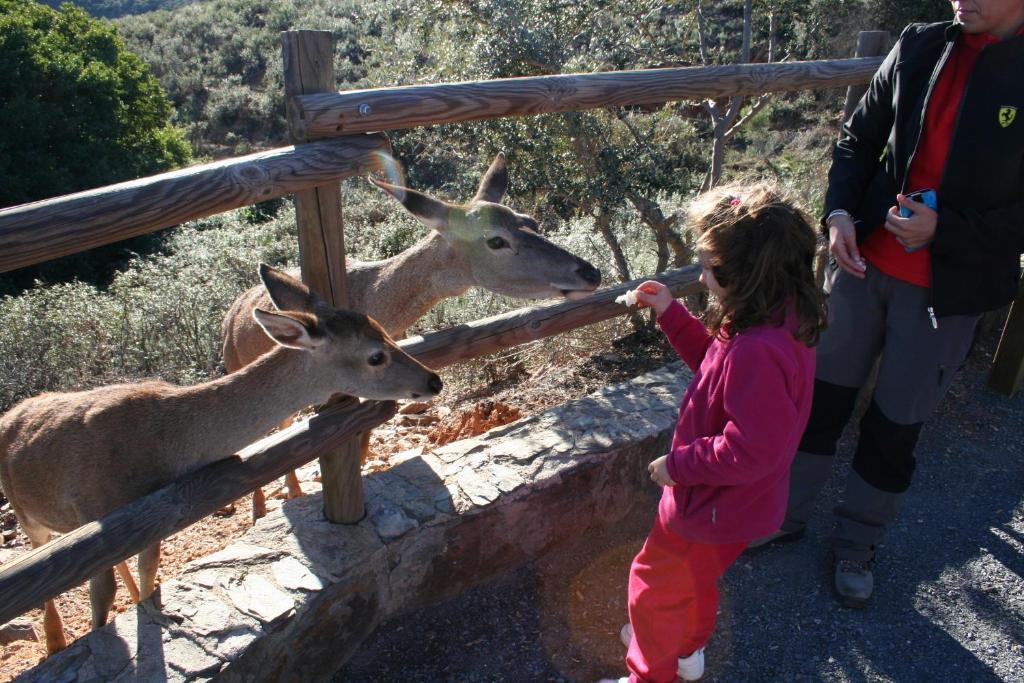 Complejo Turistico Las Canadas Casas De Campo- Actividades Gratuitas Todos Los Fines De Semana Banos De Montemayor Eksteriør bilde